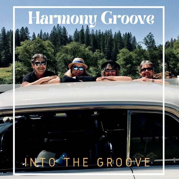 Cover art for Into the Groove